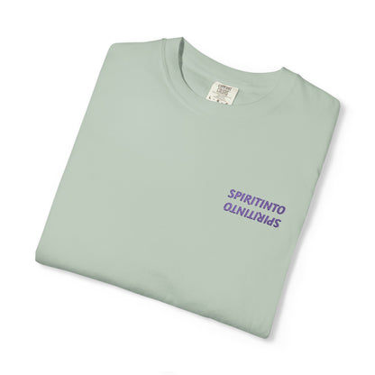 Casual Unisex T-Shirt, Soft Garment-Dyed Tee, Comfortable Everyday Wear, Gift for Friends, Relaxed Style Top
