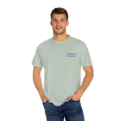 Casual Unisex T-Shirt, Soft Garment-Dyed Tee, Comfortable Everyday Wear, Gift for Friends, Relaxed Style Top