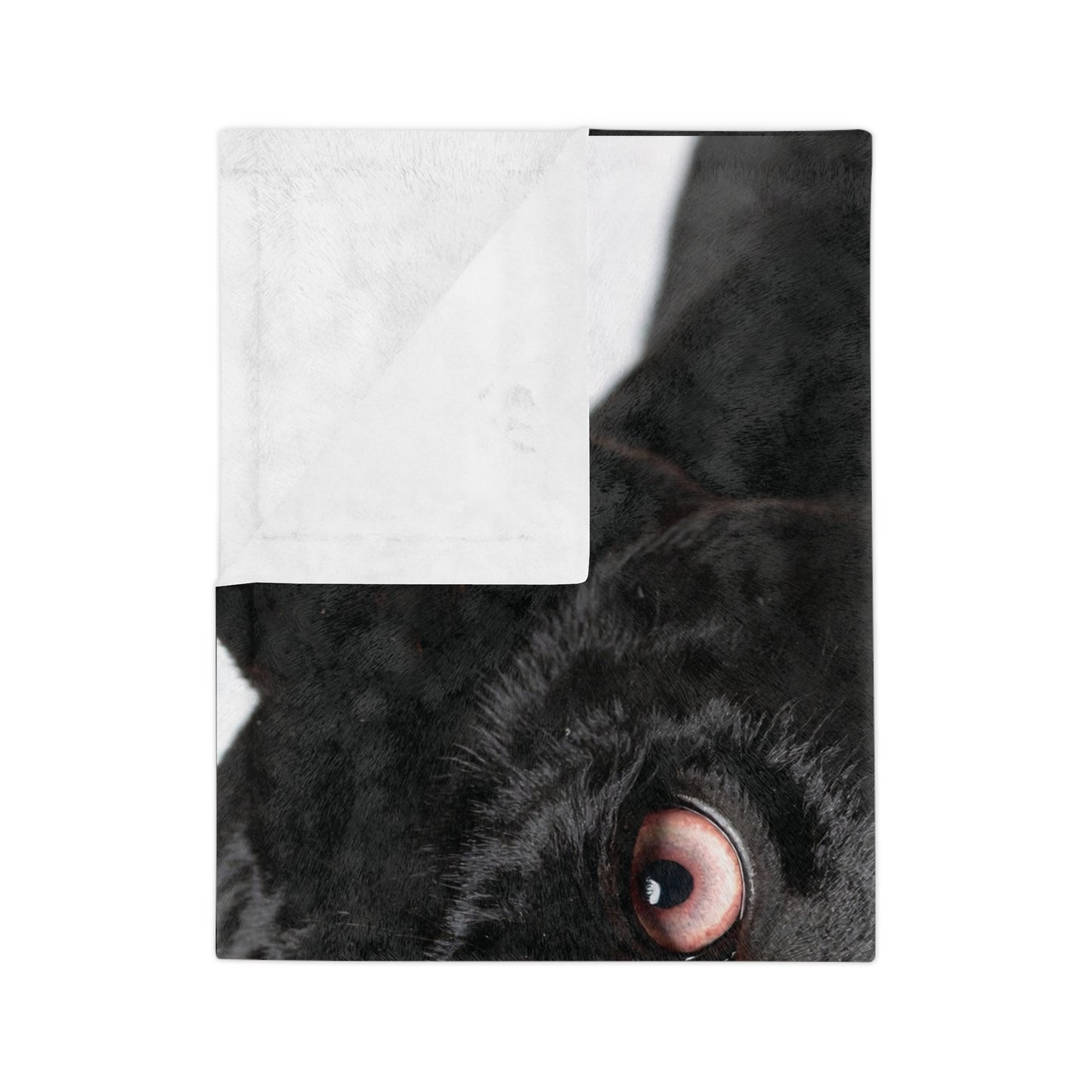 Luxurious Velveteen Microfiber Blanket with Chic Panther Design,